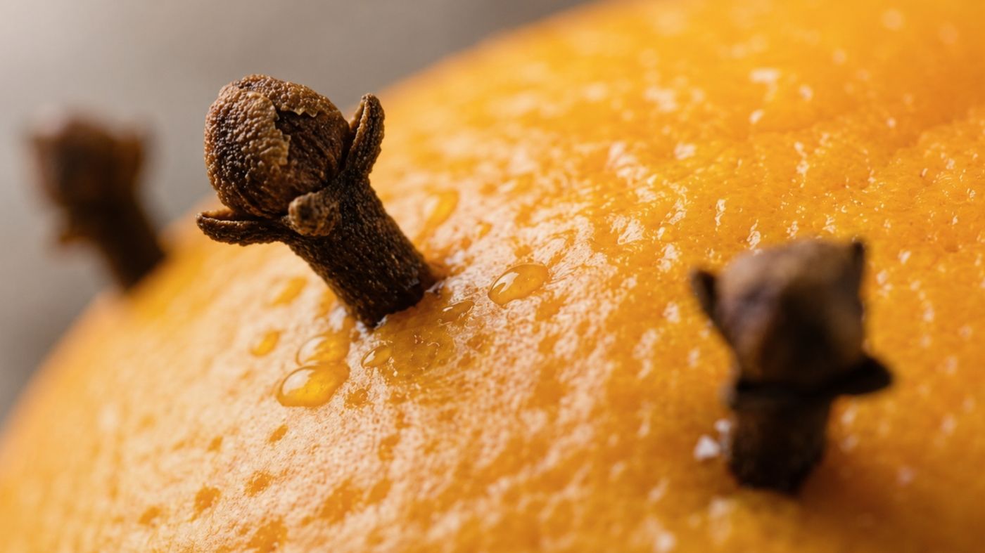 Dettaglio di un chiodo di garofano infilato nella buccia d'arancia